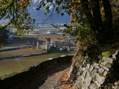 Château d'Aigle von Fontaney aus gesehen - Herbst - Aigle