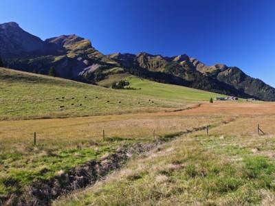 Mountain landscape - summer - Les Mosses