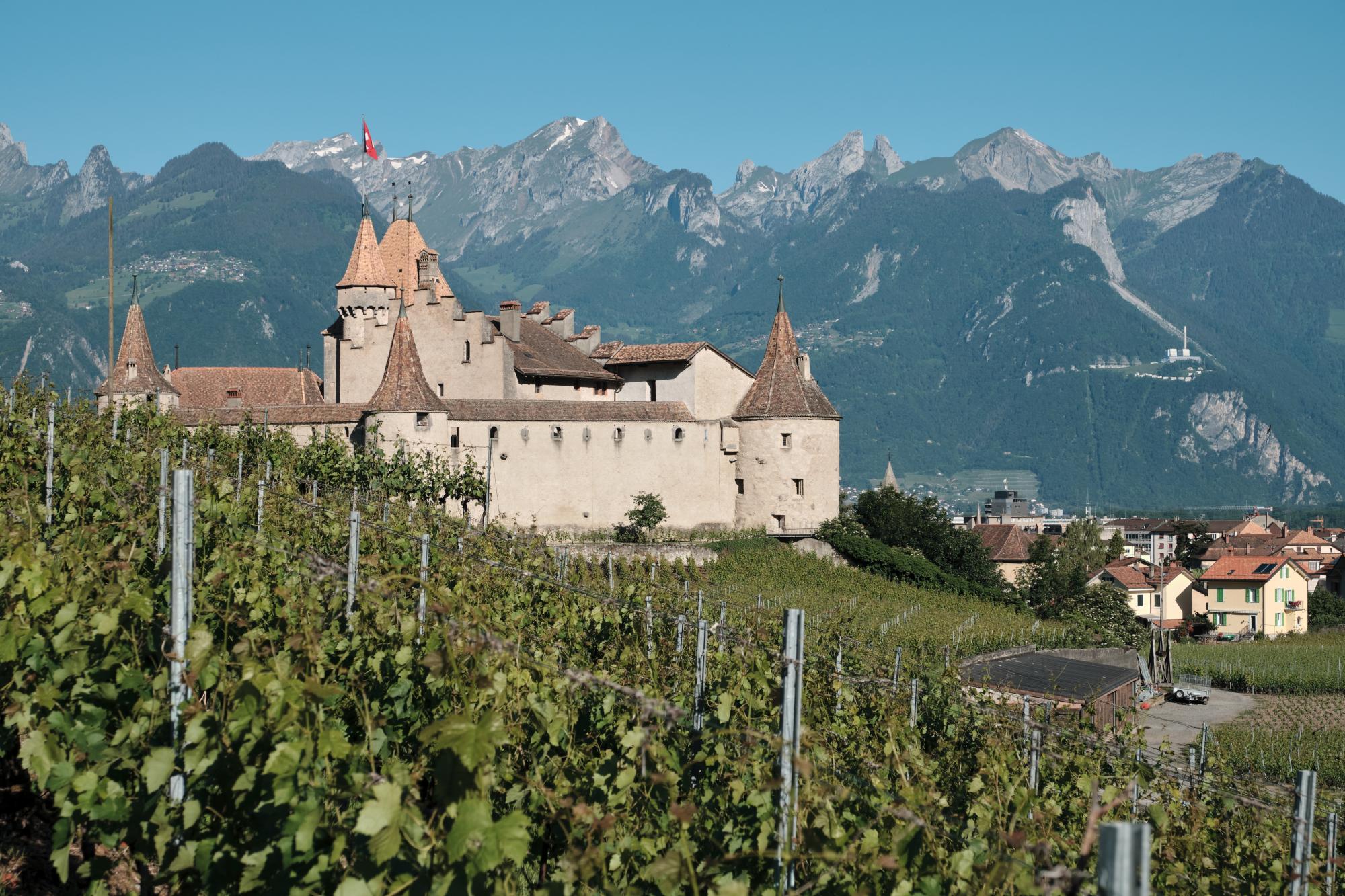 Château d'Aigle - summer - Aigle