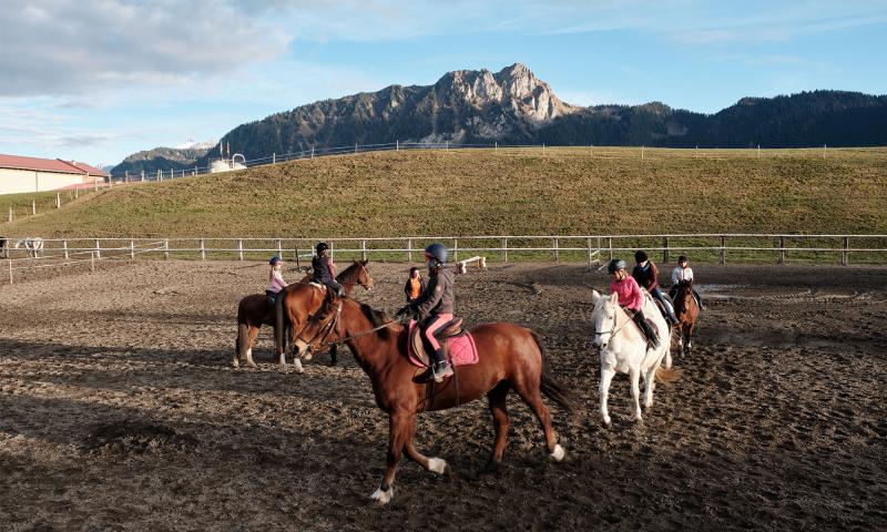 Manège - automne - Leysin