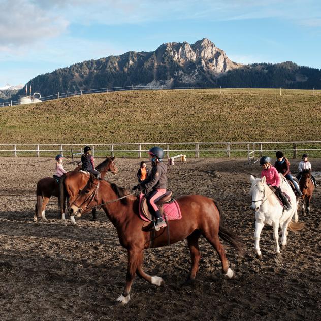 Leysin Riding Stables