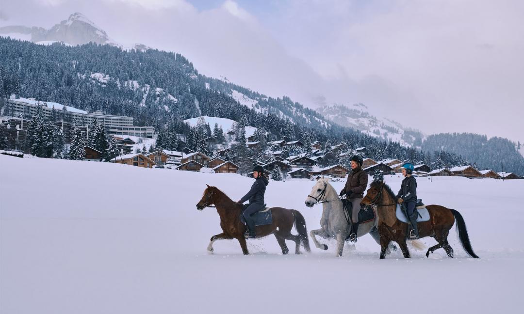 Leysin - Horse riding in the snow - winter