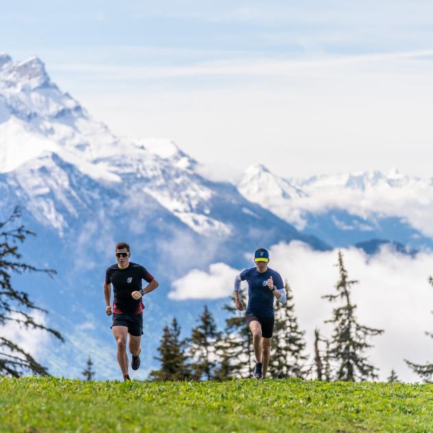Demi-marathon des Alpes