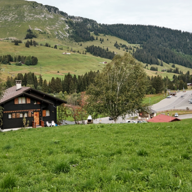 Pushchair tour - No. 11