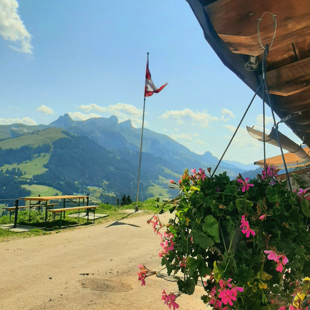 Association Touristique Aigle-Leysin-Col des Mosses