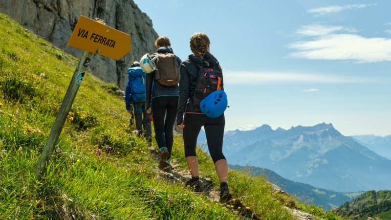 Tour d'Aï vue depuis Chaux-de-Mont - été - Leysin