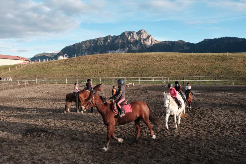 Balade à cheval au manège - Leysin - Automne