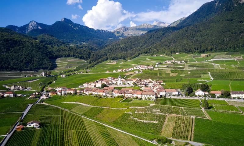 Blick auf das Dorf Yvorne inmitten der Weinberge - Sommer