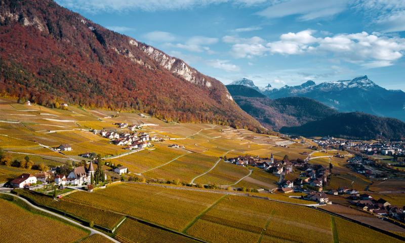 View of the village of Yvorne in the middle of the vineyards - Autumn