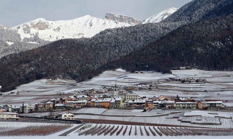 View of the village of Yvorne in the middle of the vineyards - Winter