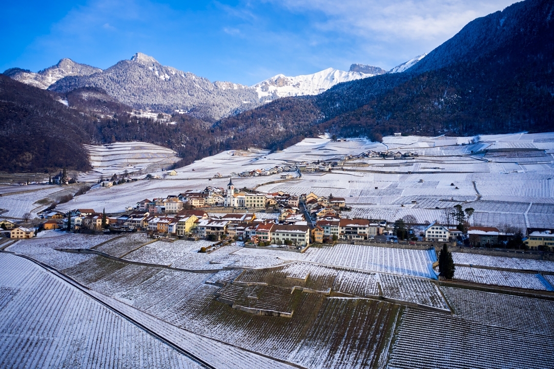 Visualps – Matthias Lehmann