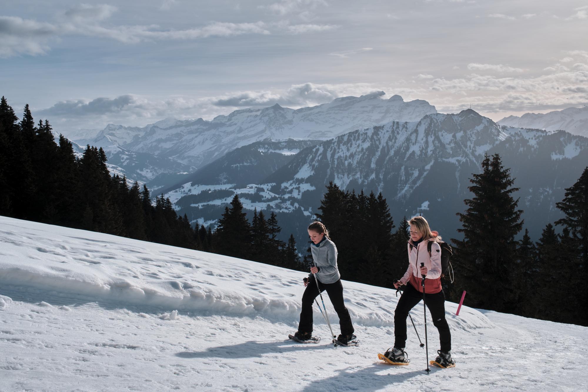 Winter walks and snowshoe trails in Leysin