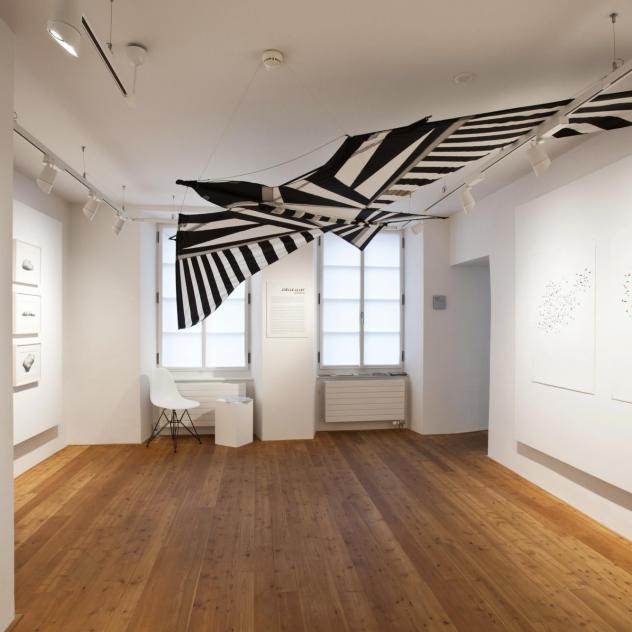 Espace Graffenried - Lionel Henriod