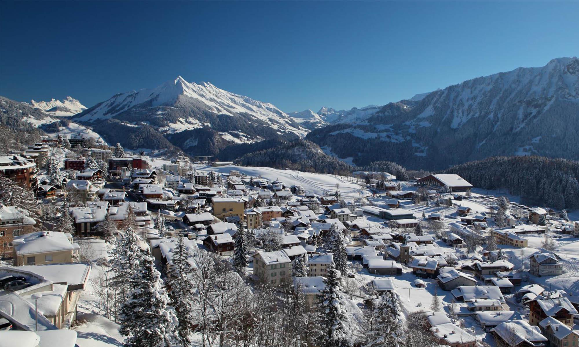 Real estate agencies in Leysin