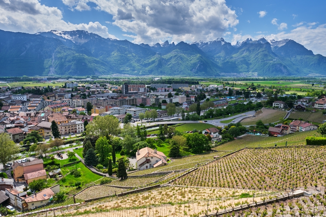 Visualps - Matthias Lehmann