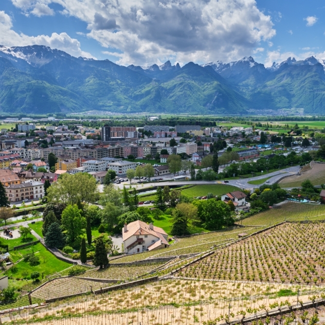 La balade des arbres remarquables