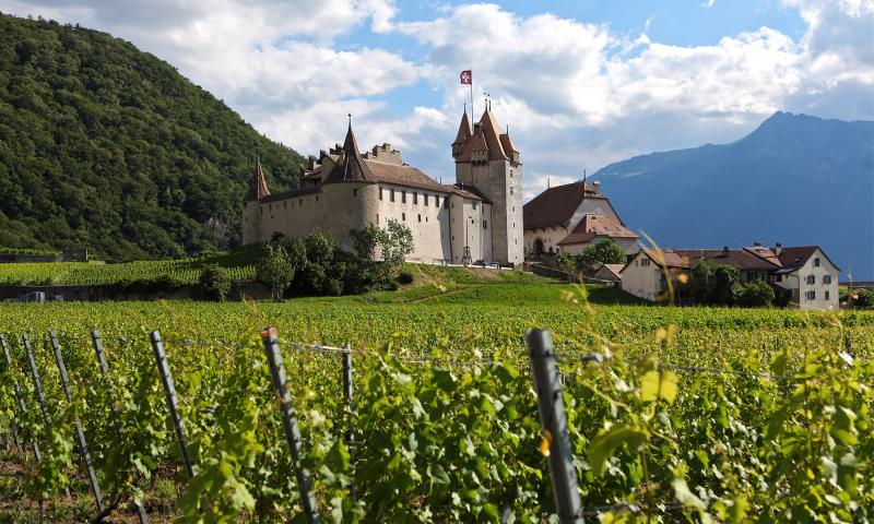 Chateau - Aigle - Ete - José Crespo