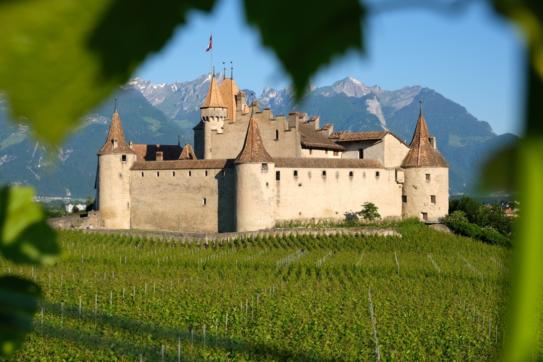 Visualps – Matthias Lehmann