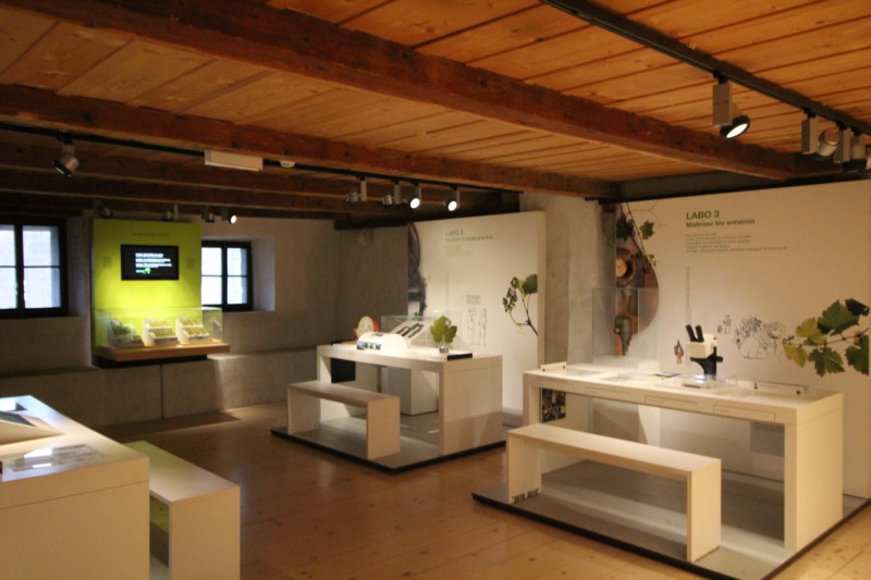 musée vigne et vin - Aigle