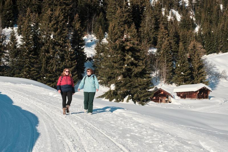 Leysin - Winterwanderung in Les Fers - Winter