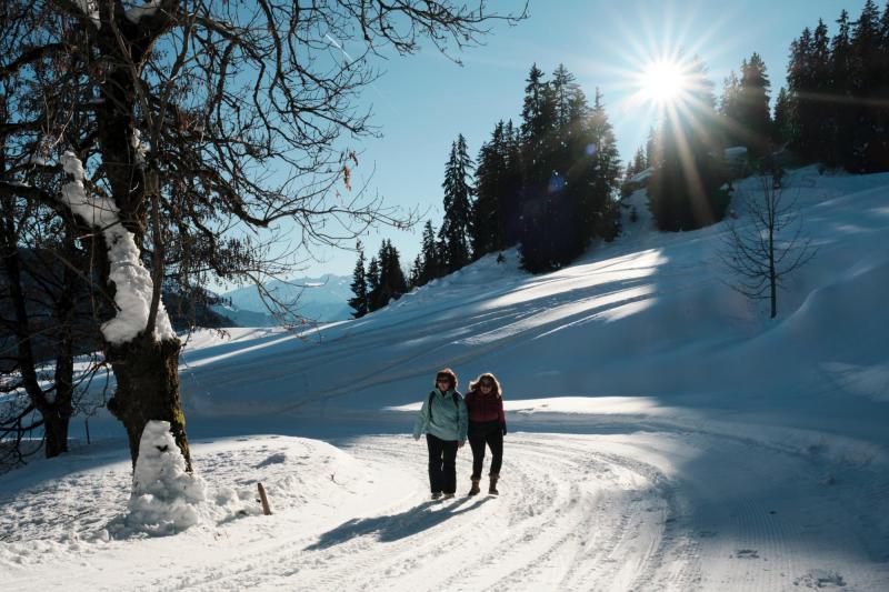 Leysin - Les Fers winter hike - winter