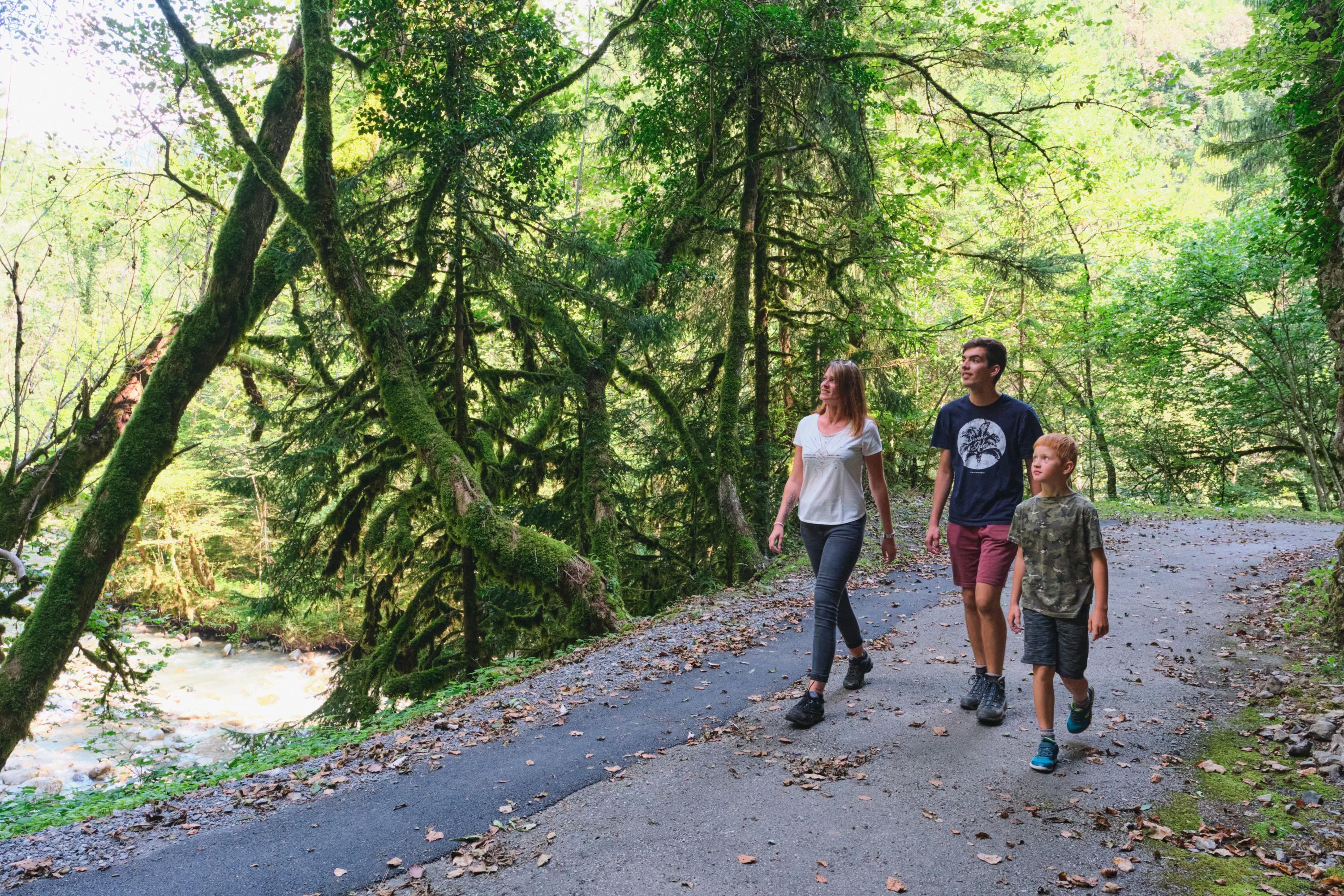 Summer walks in Aigle