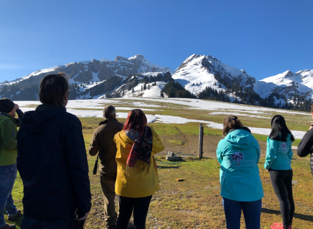Watching and listening to mountain birds