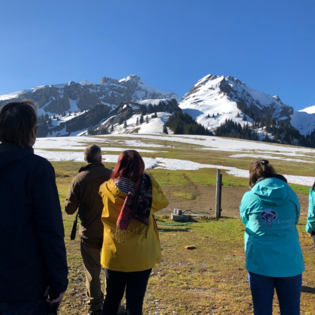 Observation et écoute des oiseaux de montagne