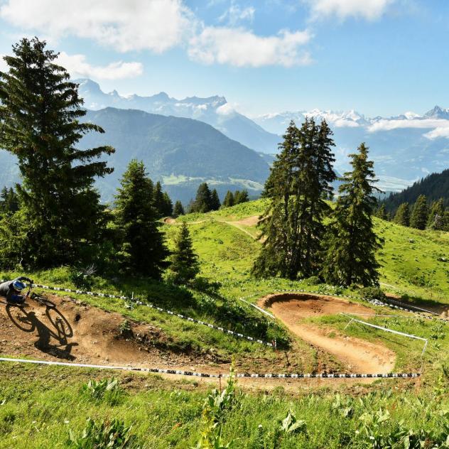 Journée Bike Park Leysin