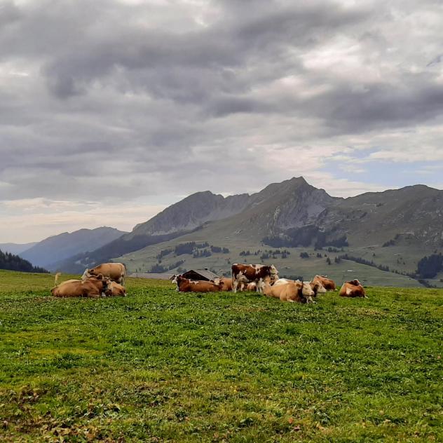 Montée au sommet du Gros Van