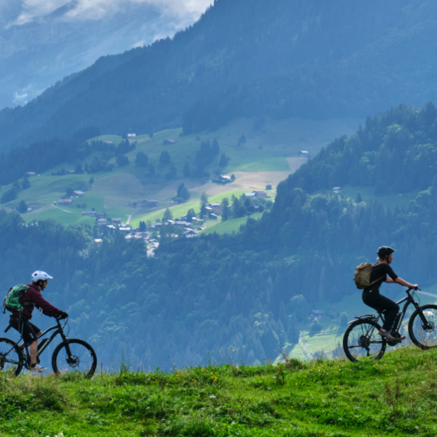 Journee E-bike - decouverte des Alpes vaudoises Leysin