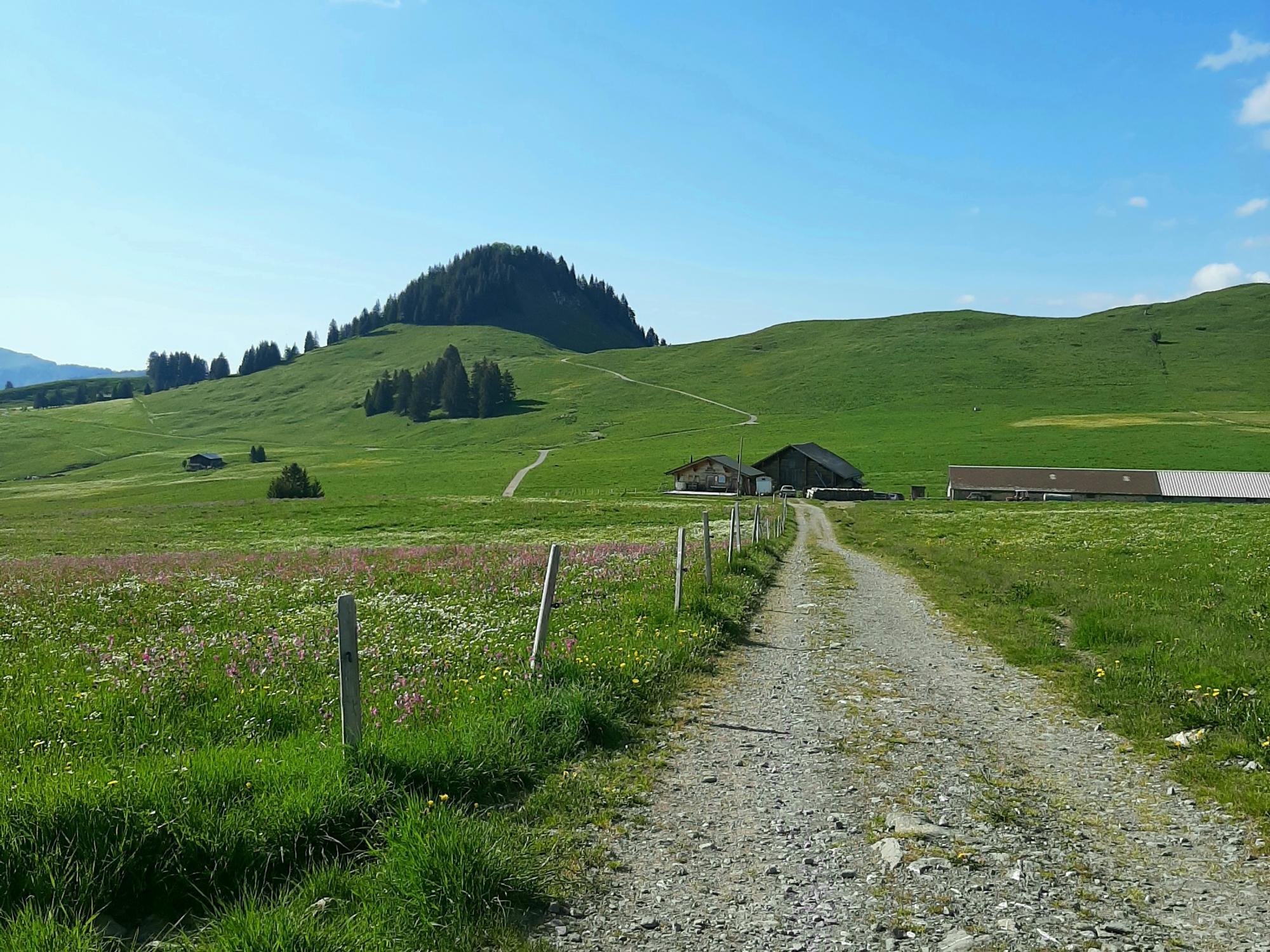 Les Mosses - Vue sur Pra Cornet - Eté