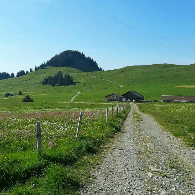 Association Touristique Aigle-Leysin-Col des Mosses