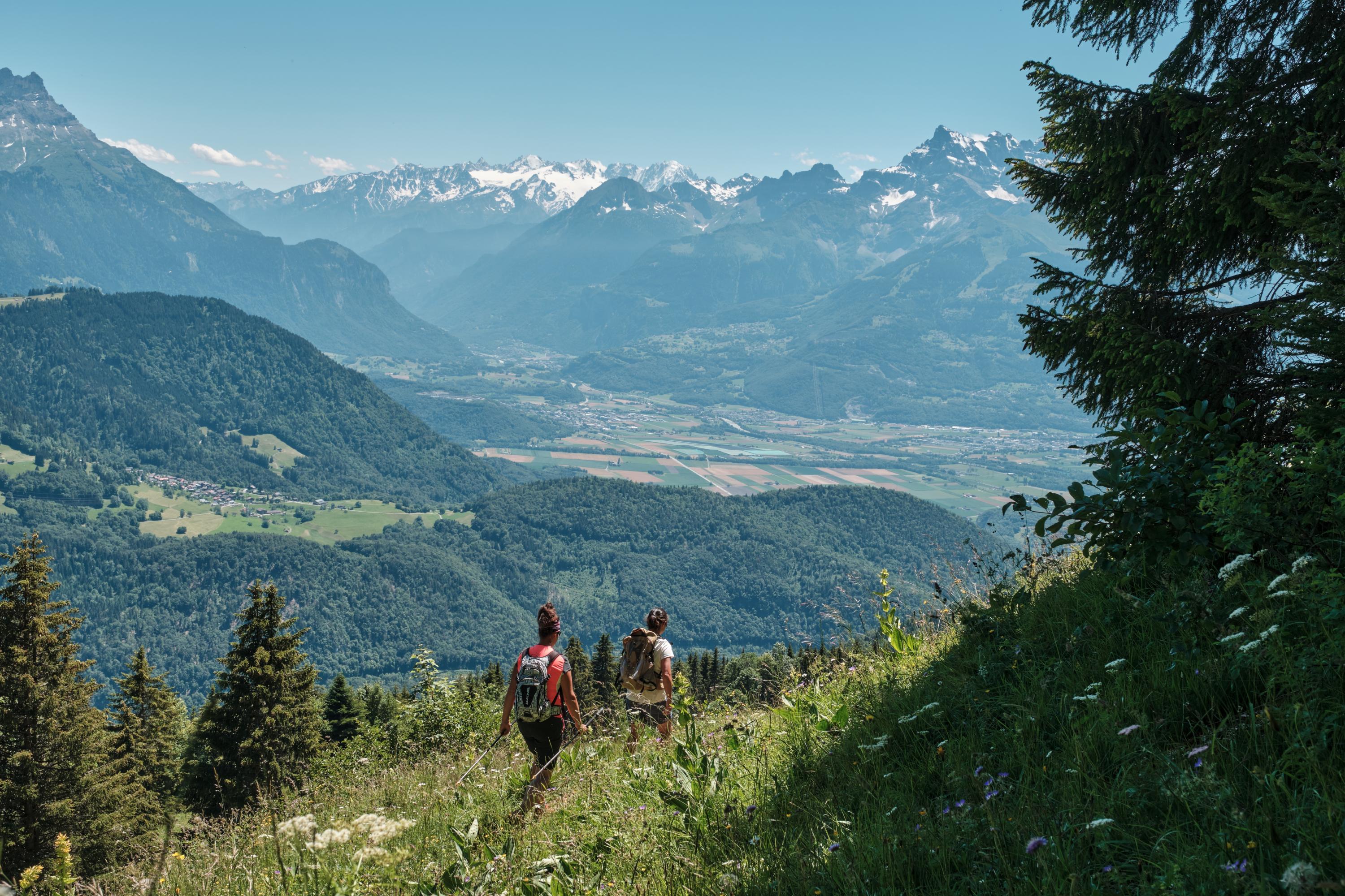 Mountain guides in Leysin