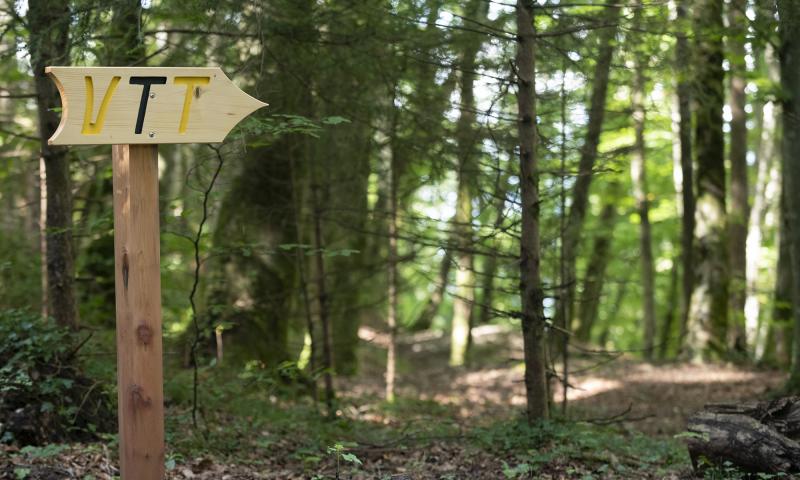 Mountain bike course - Foret Fahy arrow