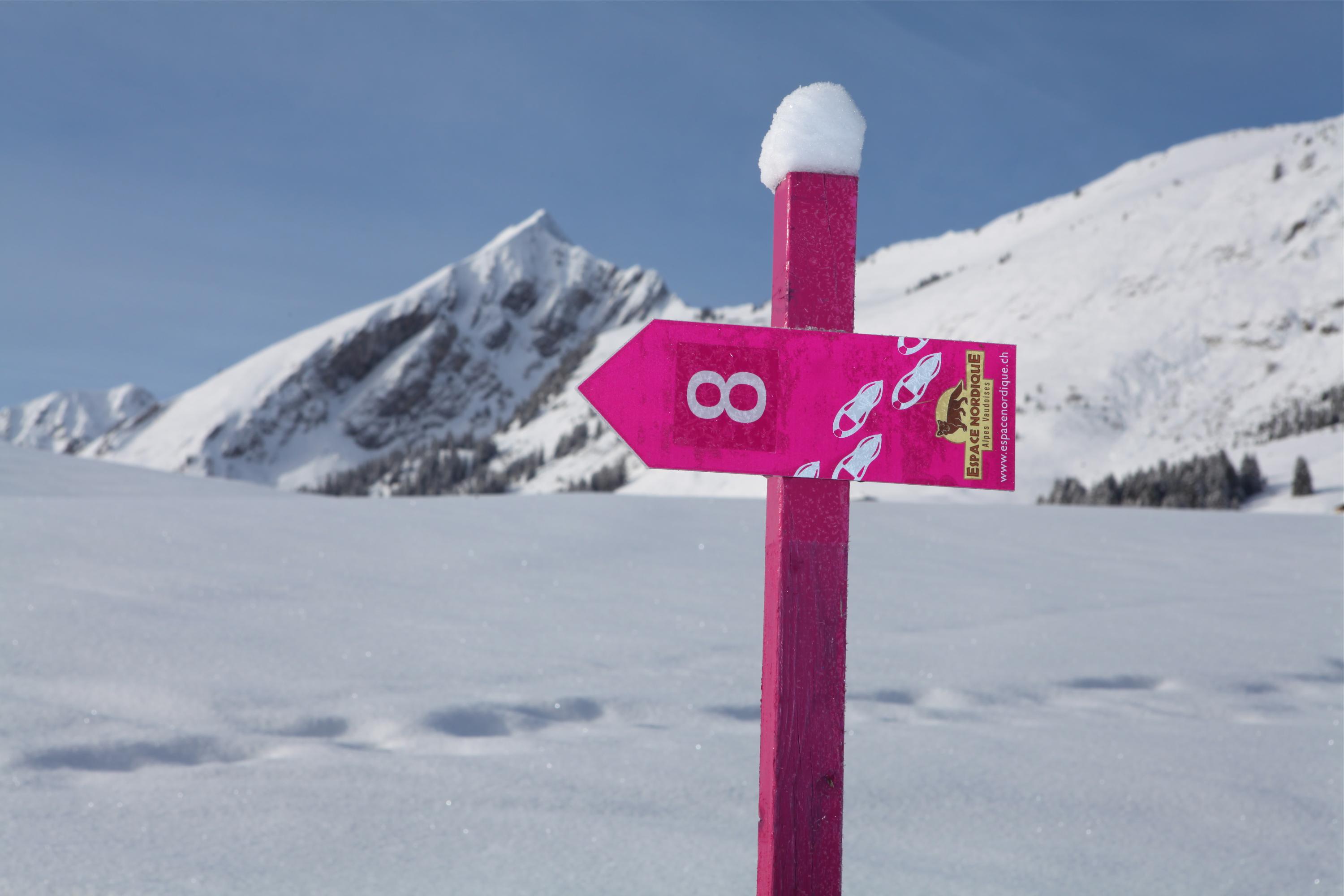 Winter walks and snowshoe hikes in Col des Mosses