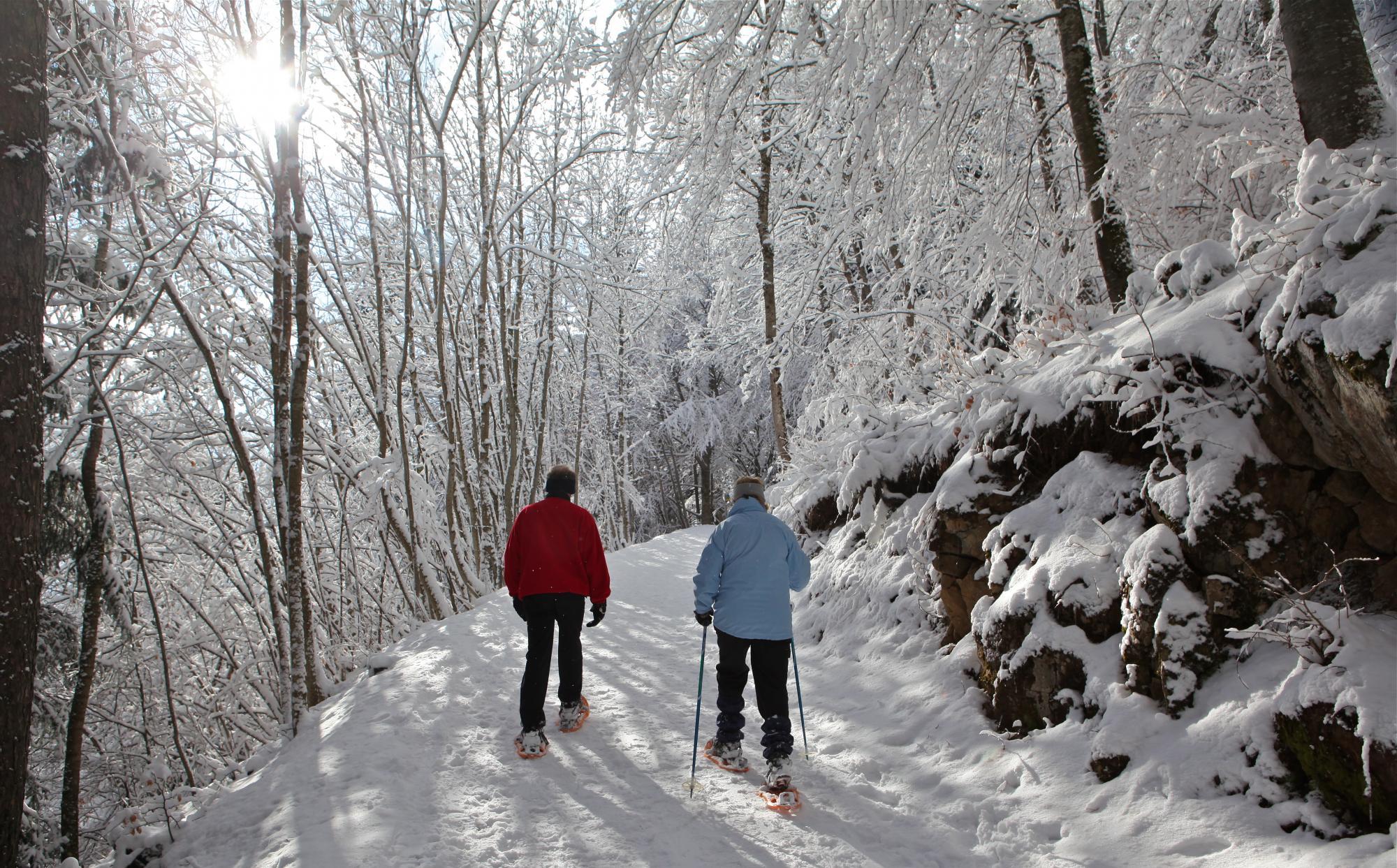 Snowshoe hikers - winter - Leysin