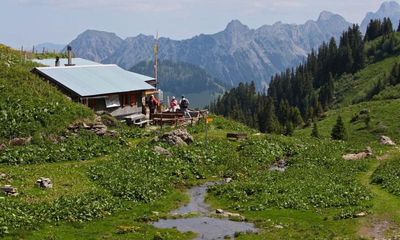 Restaurant of les Petits Lacs - summer - Les Mosses