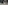 Visualps – Matthias Lehmann