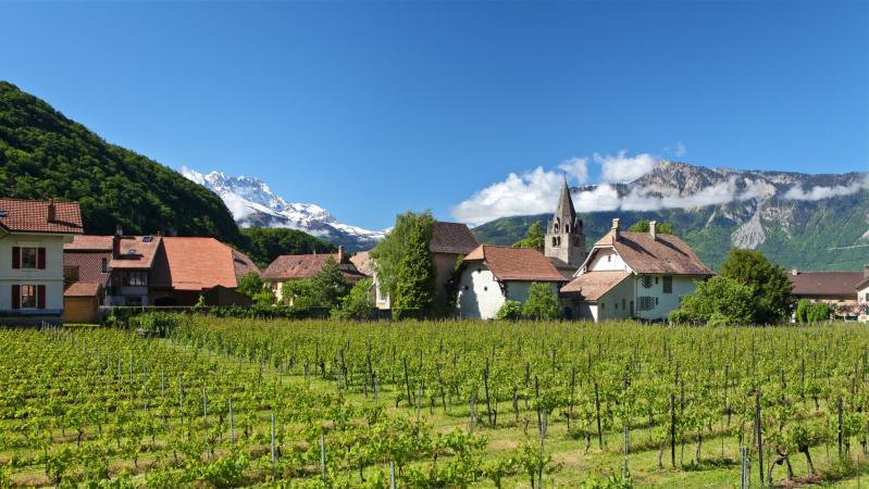 District Cloître - summer - Aigle