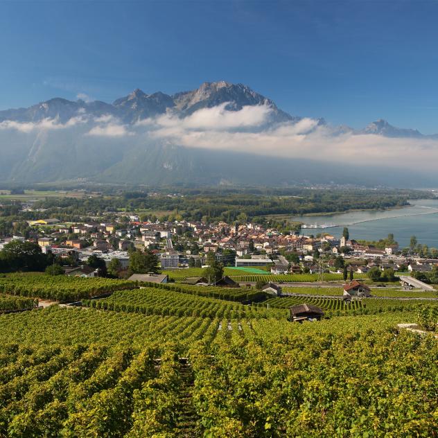 Sentier des vignes | Villeneuve