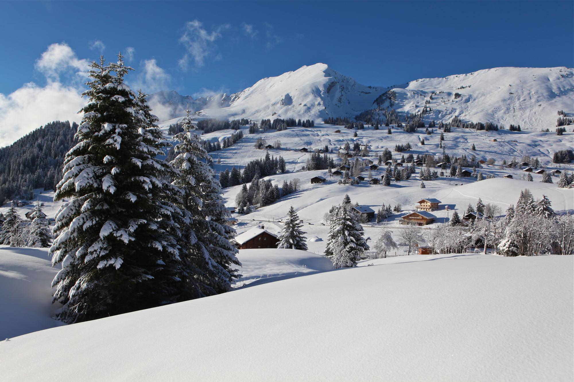 Les Mosses - Winter
