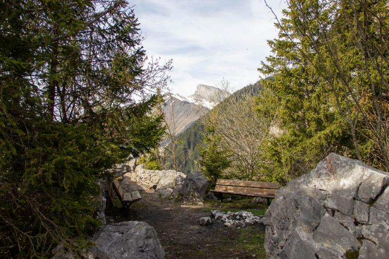 Crevasse - Benches and view of the Aï tower - Spring - Jonas Froment