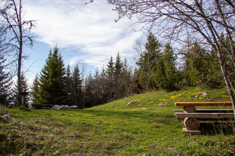 Antenne - Picknick - Frühling - Jonas Froment