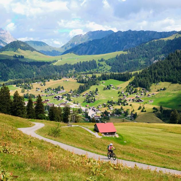 Leysin - Les Mosses - Leysin