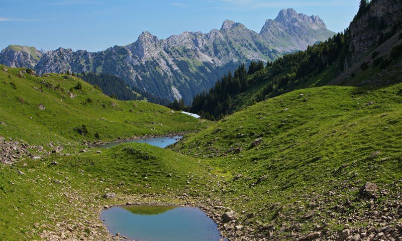 Les Petits Lacs - Sommer - Les Mosses