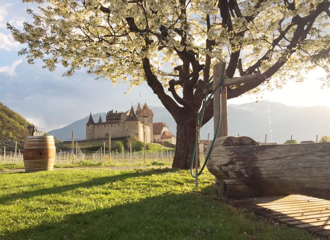 Sommerliche Unterhaltung in Aigle