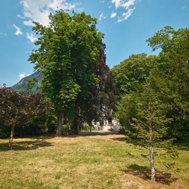 9. Kastanienbaum