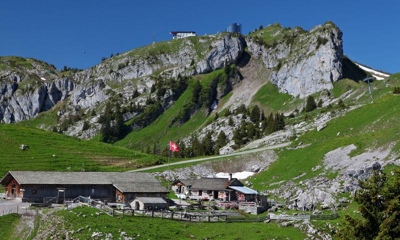 Buvette de Mayen - summer - Leysin