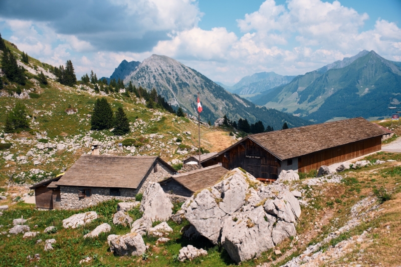 Buvette de Mayen - été - Leysin